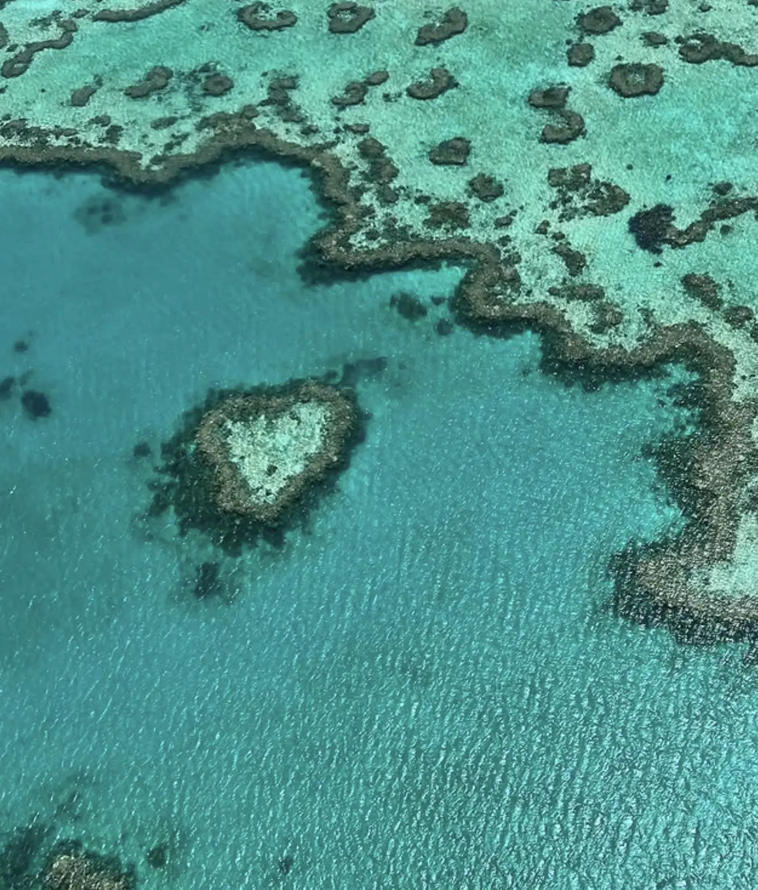 history of the Great Barrier Reef