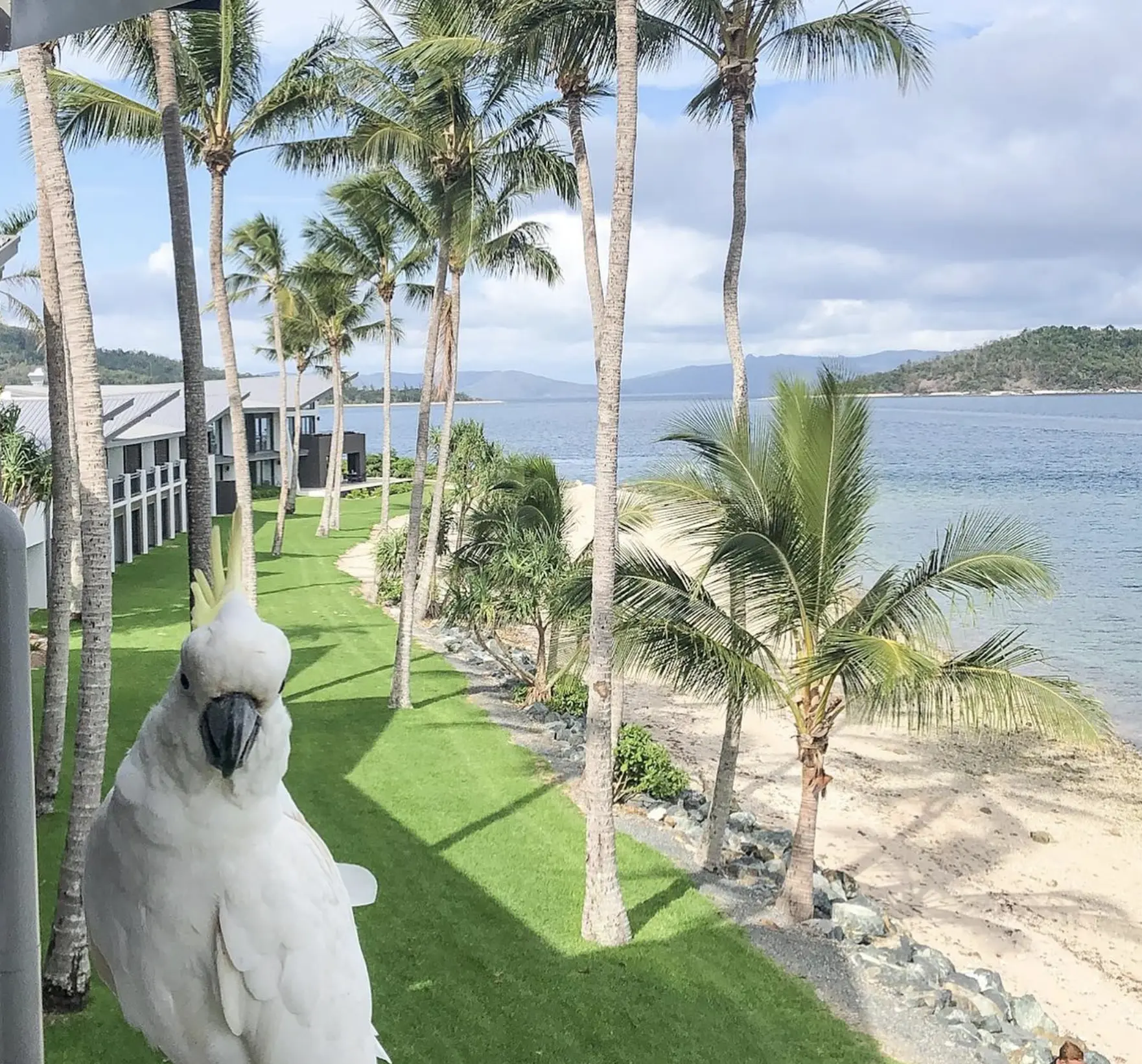Daydream Island Resort