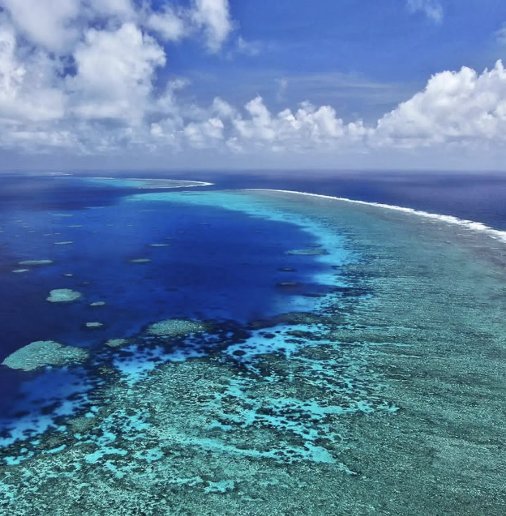 Diver exploring Ribbon Reefs
