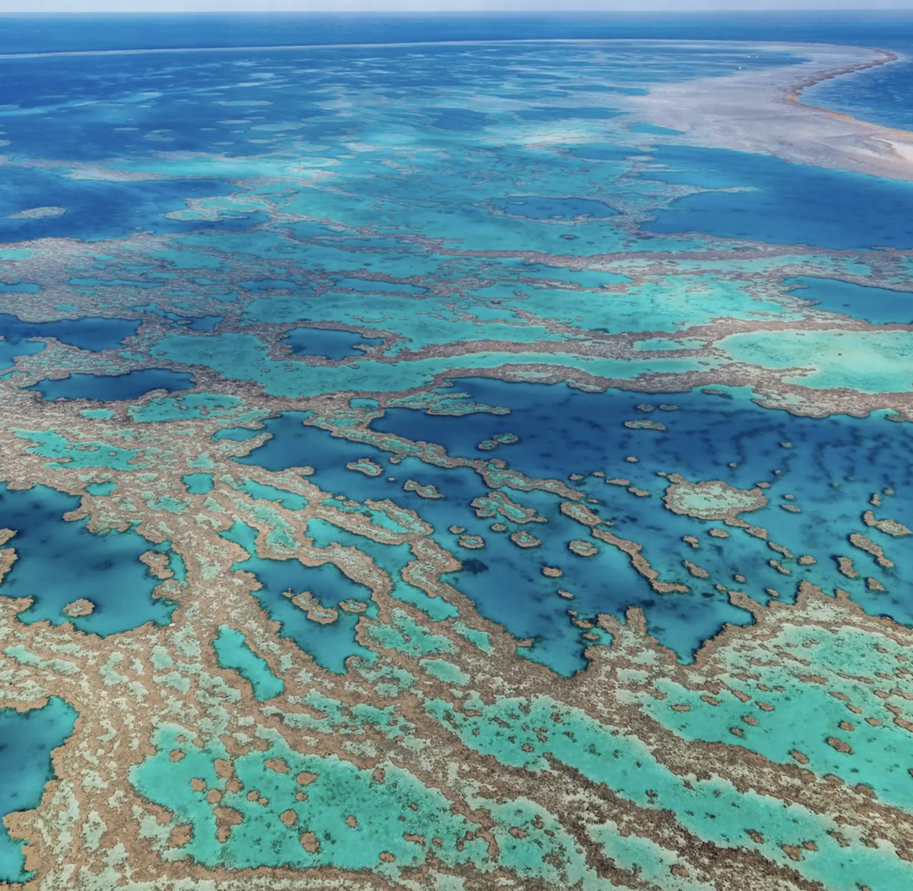 Great Barrier Reef day trip under $150