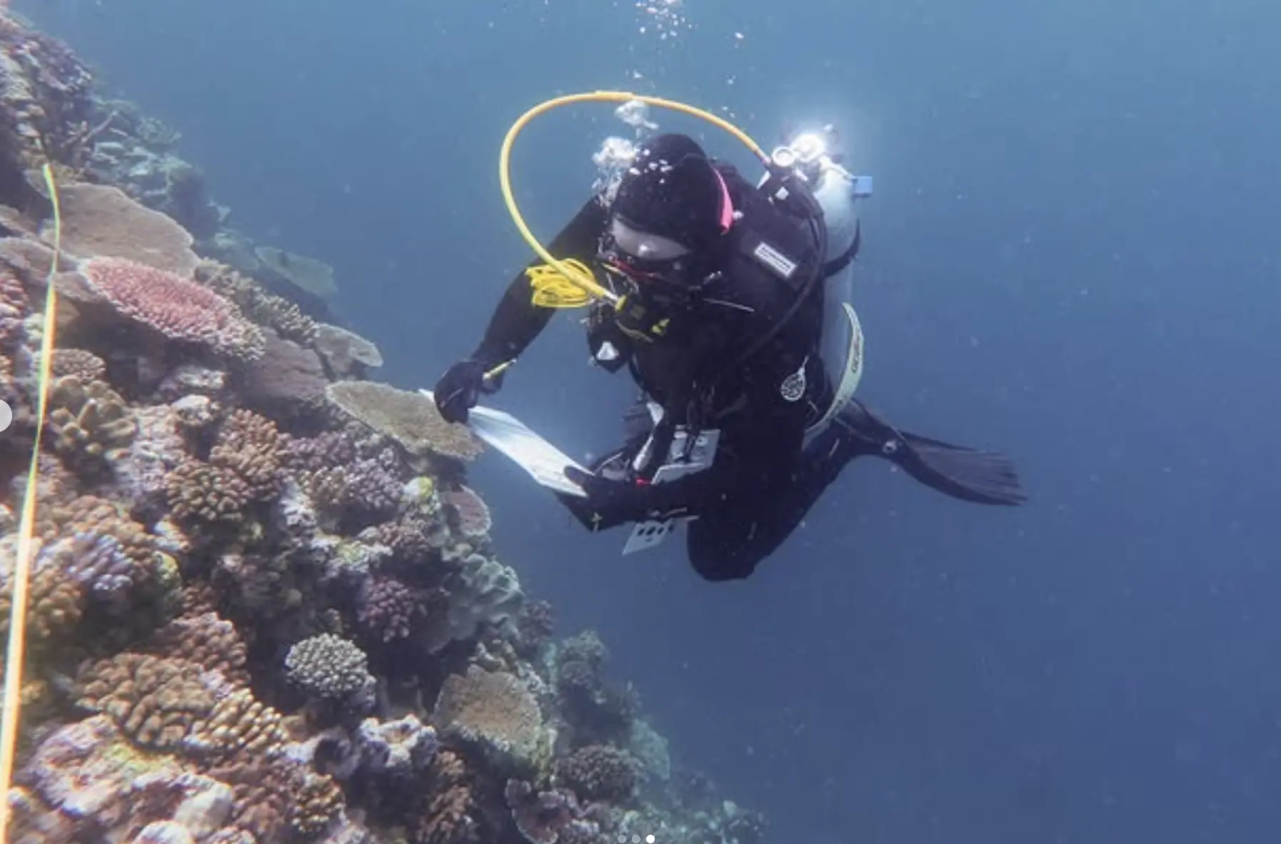 Great Barrier Reef volunteer programs