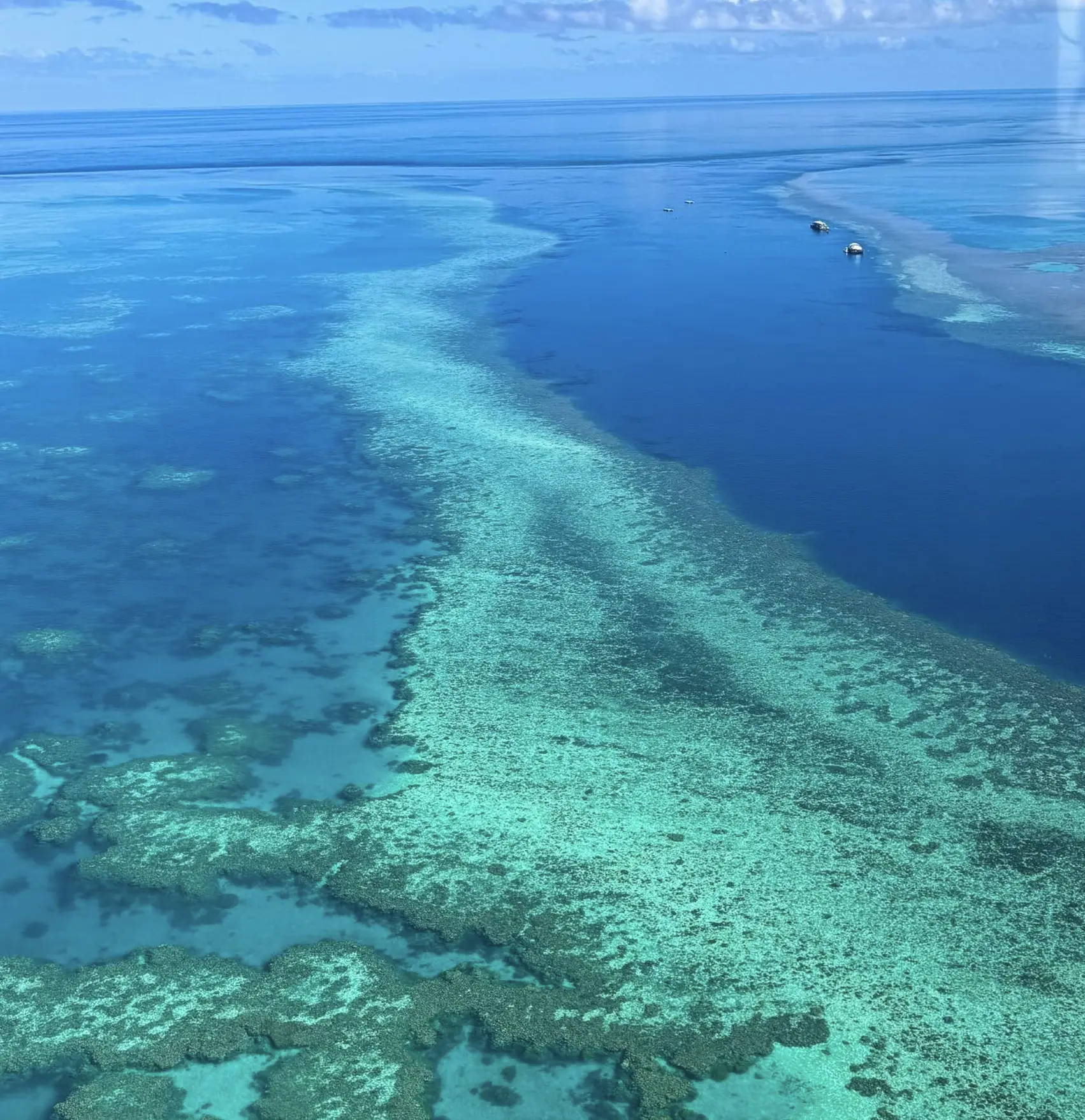 Northern reefs