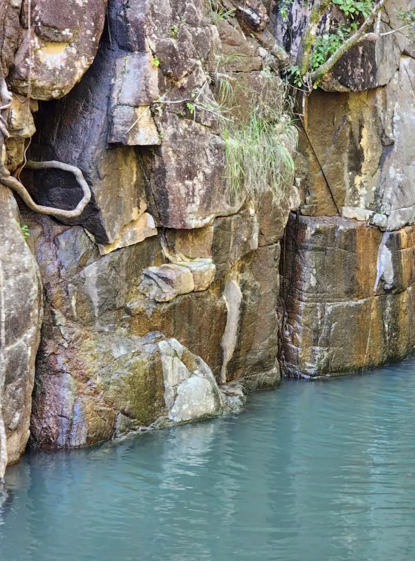 Paluma Range National Park