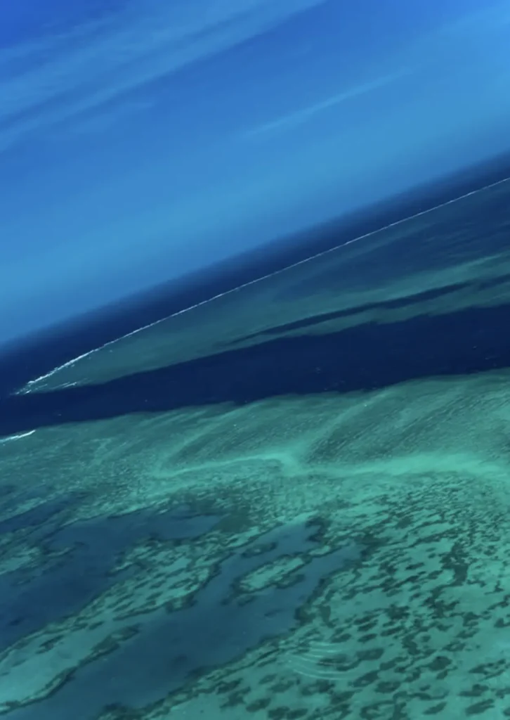 Sea level rise reef growth