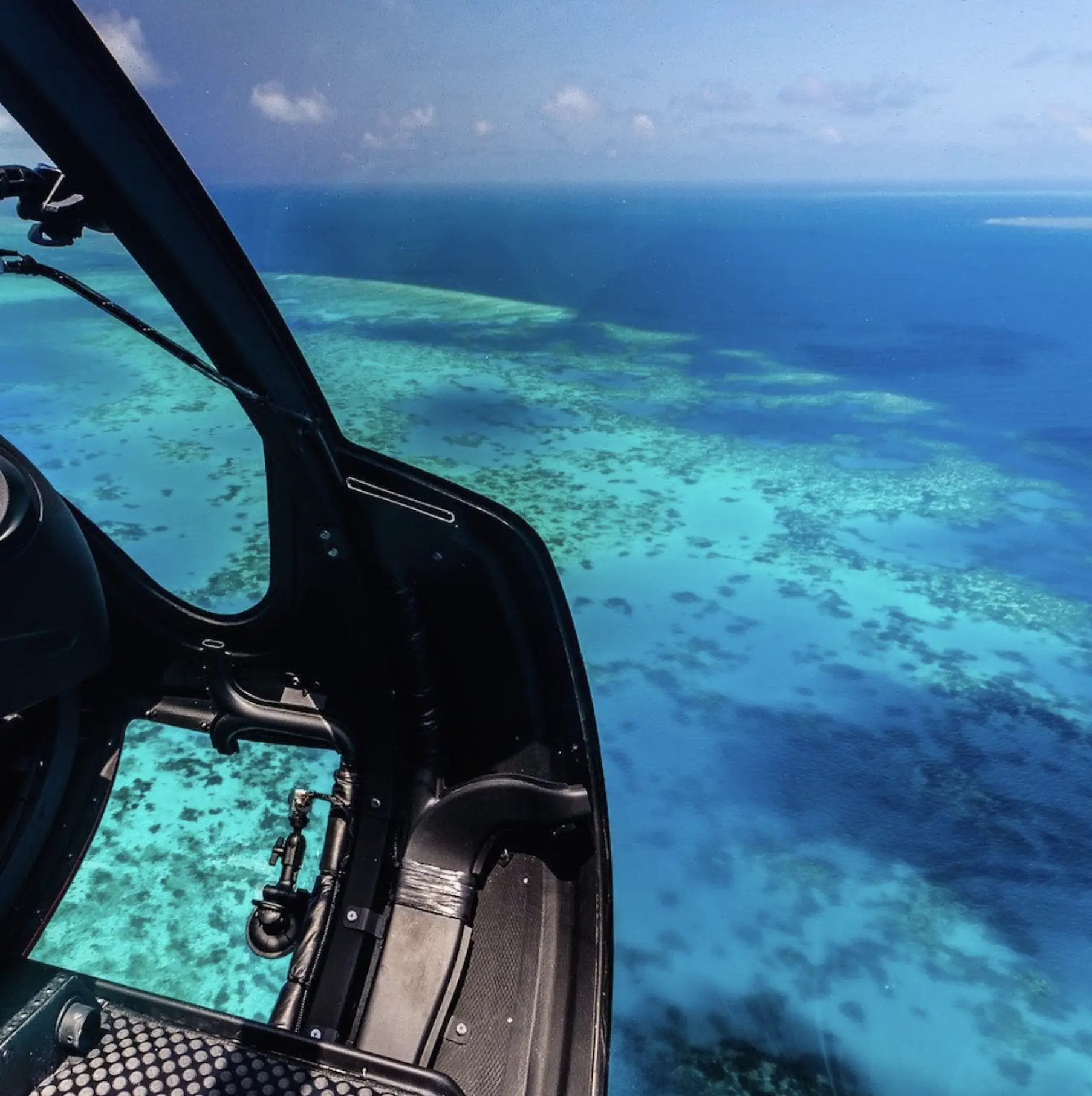 Wonder Reef floating coral structures