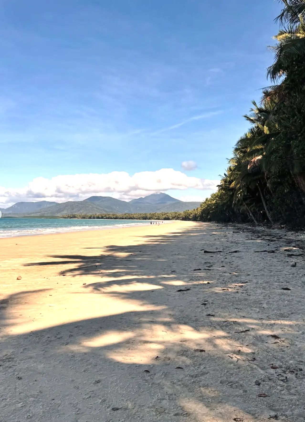best time to visit Port Douglas