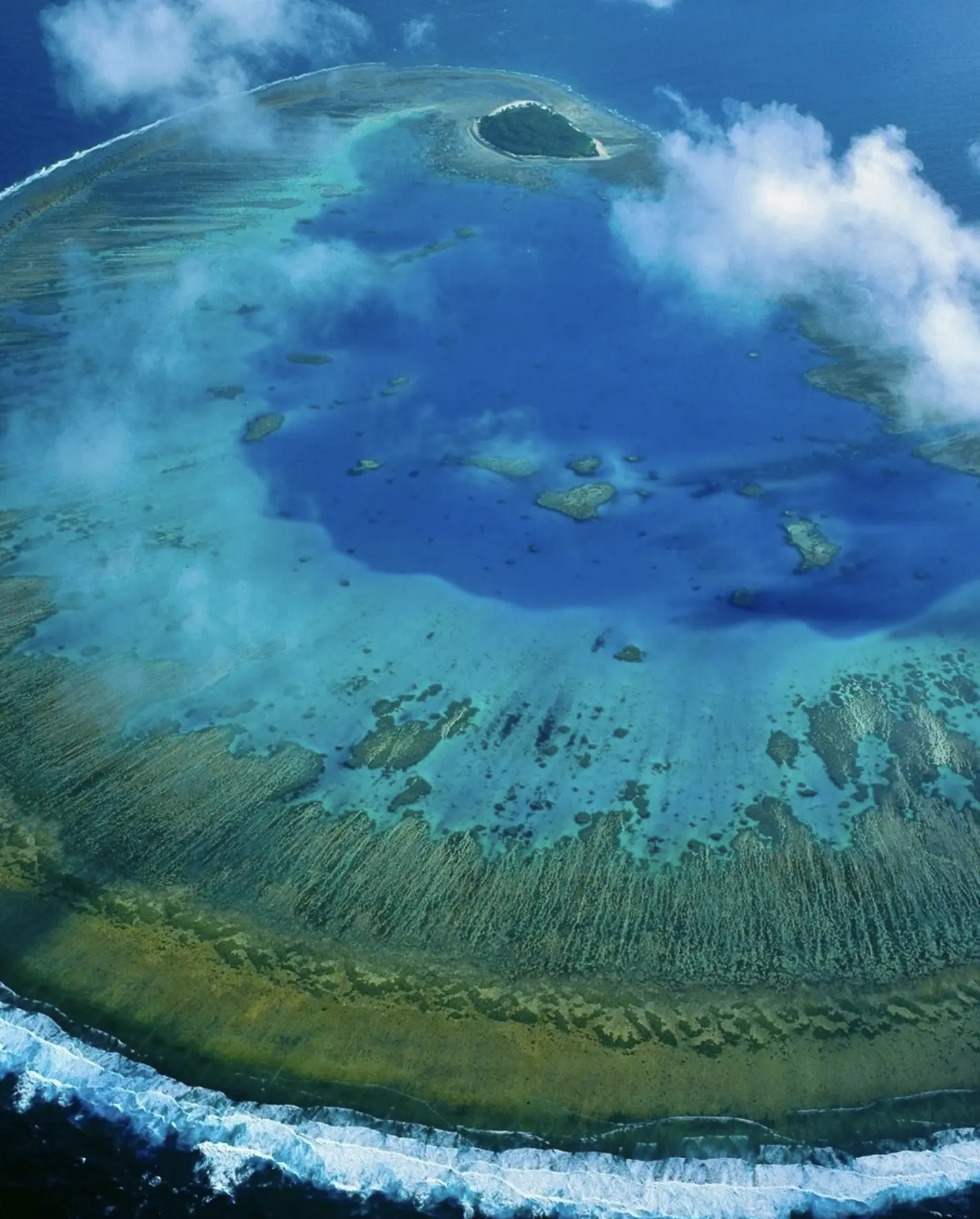 budget snorkelling trip at Fitzroy Island