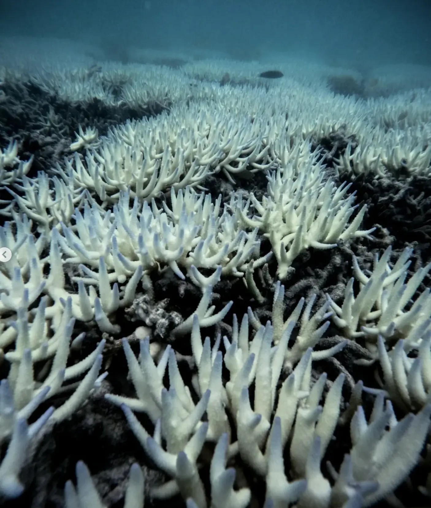 cheap beach camping spot in Mission Beach