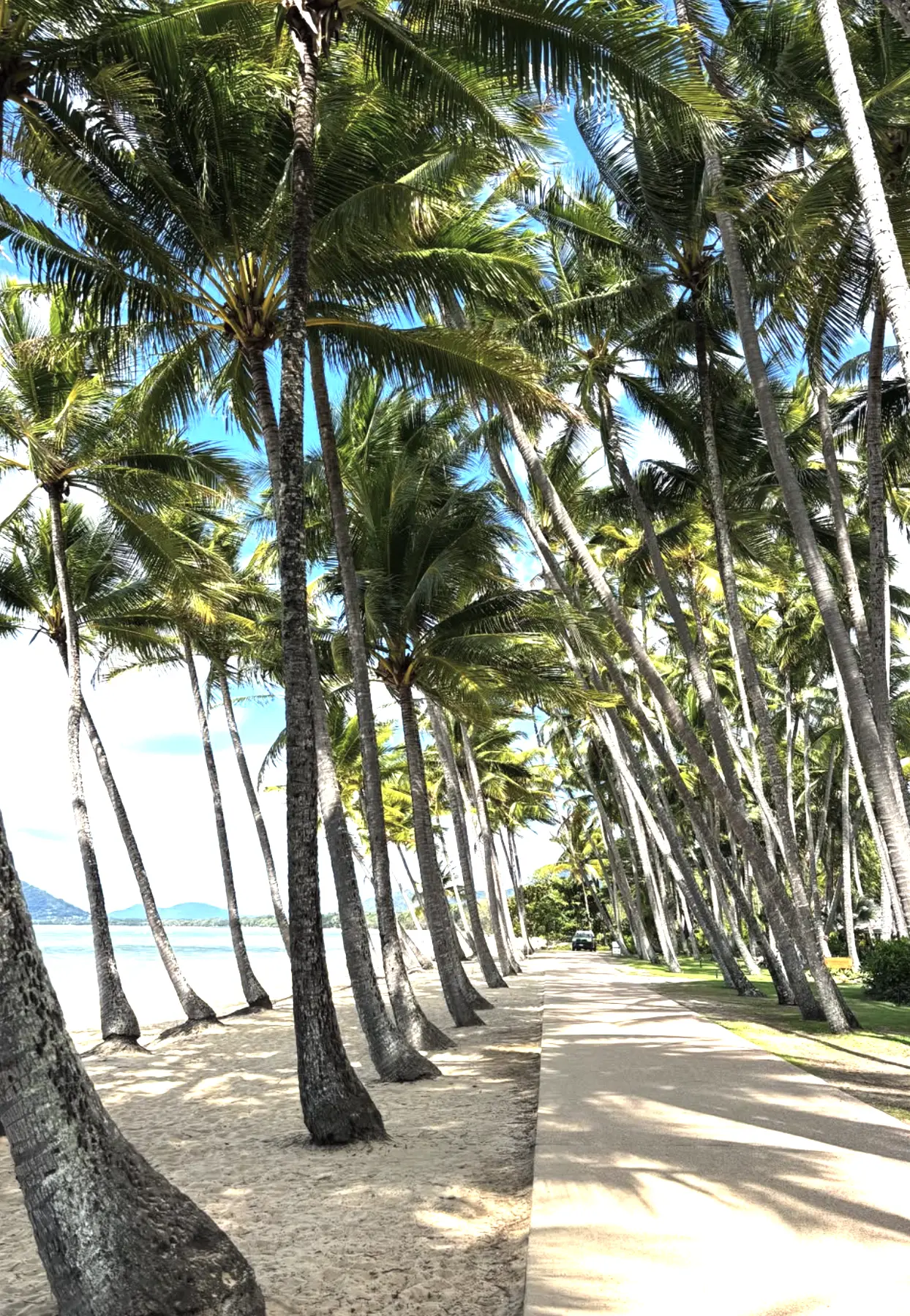 family-friendly activities Port Douglas