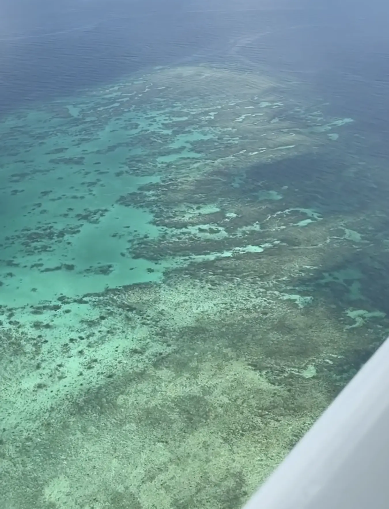helping marine conservation Australia