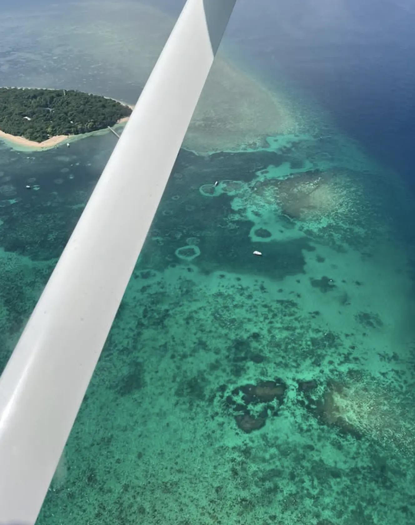 how to protect the Great Barrier Reef