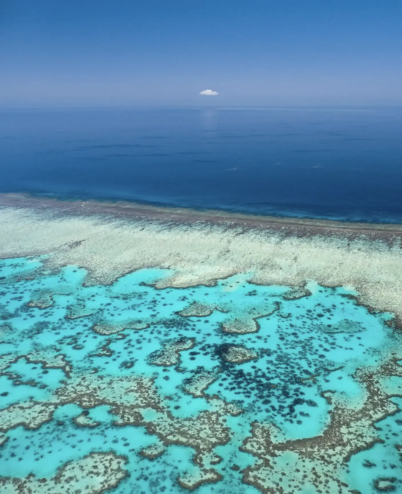 low-cost reef tour from Cairns marina