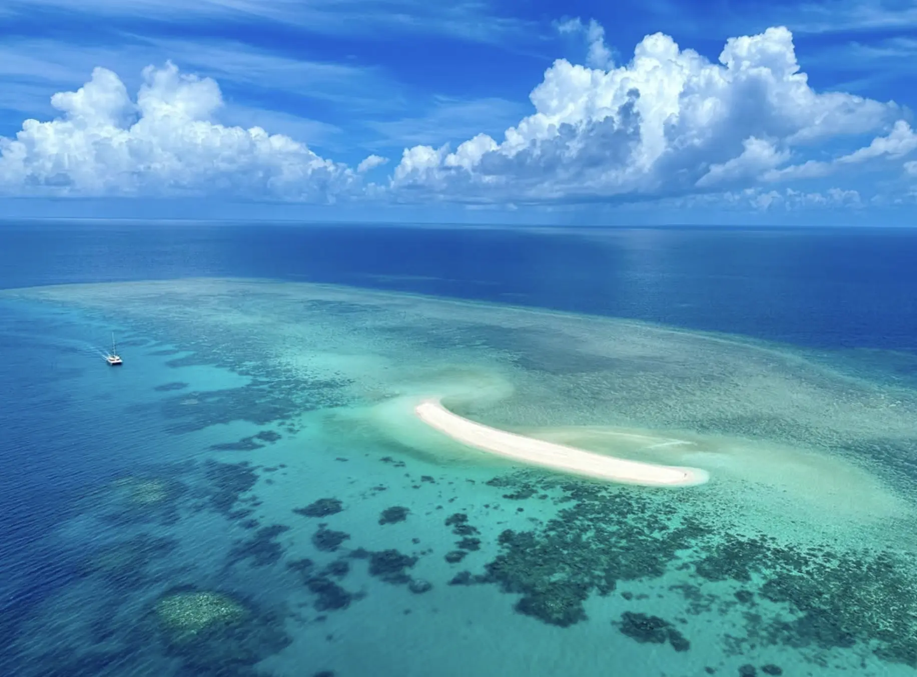 reef boat tour with discount tickets