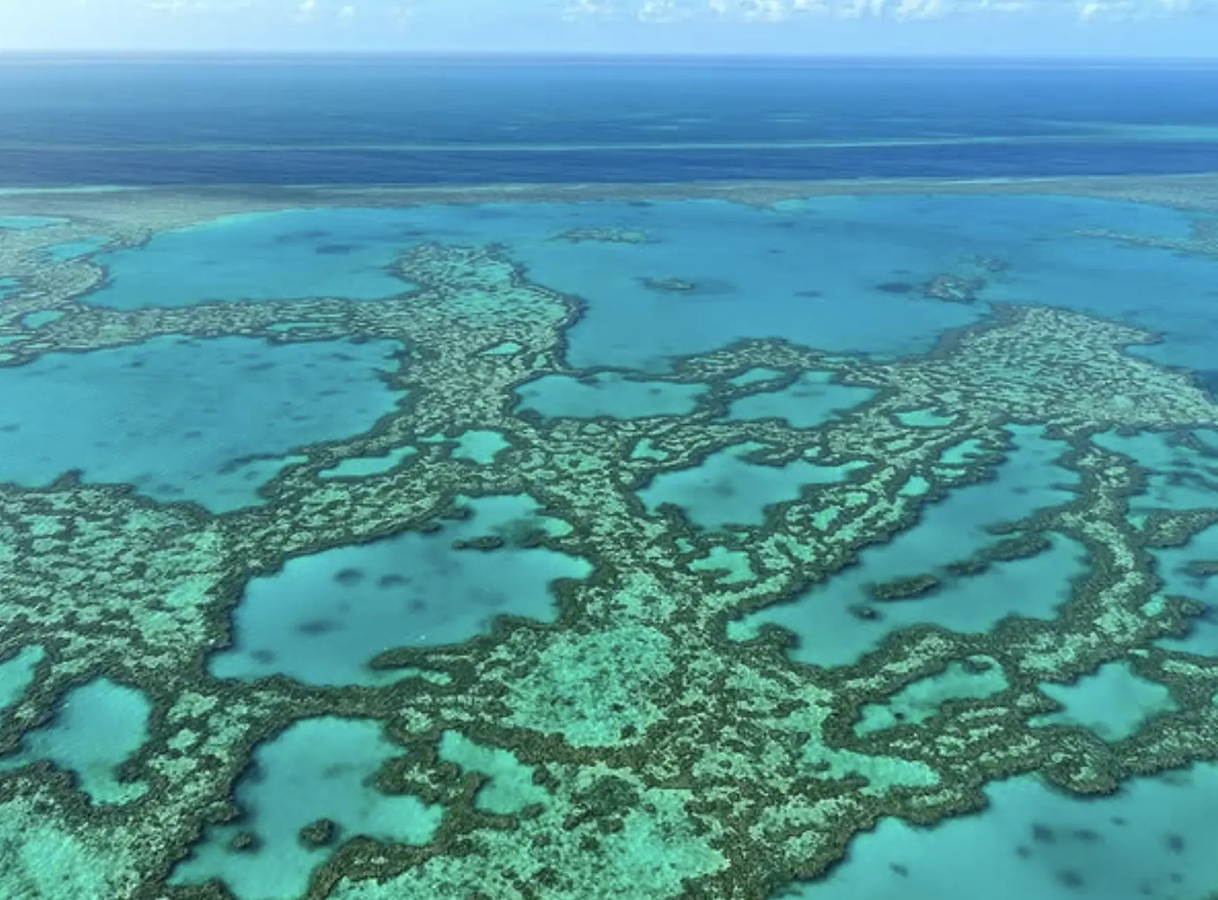 Aerial view of Hamilton Island reef coastline