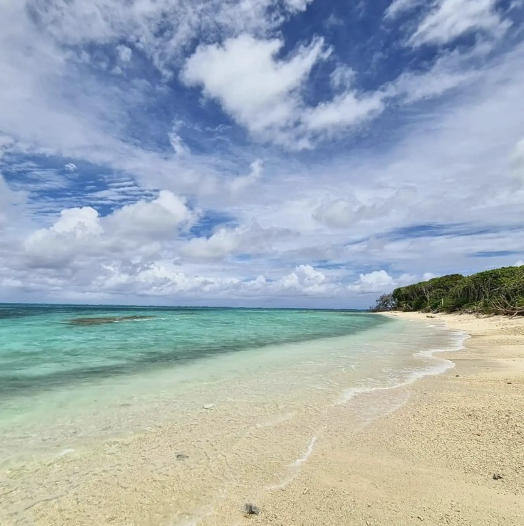 Aerial view of Lady Musgrave Island