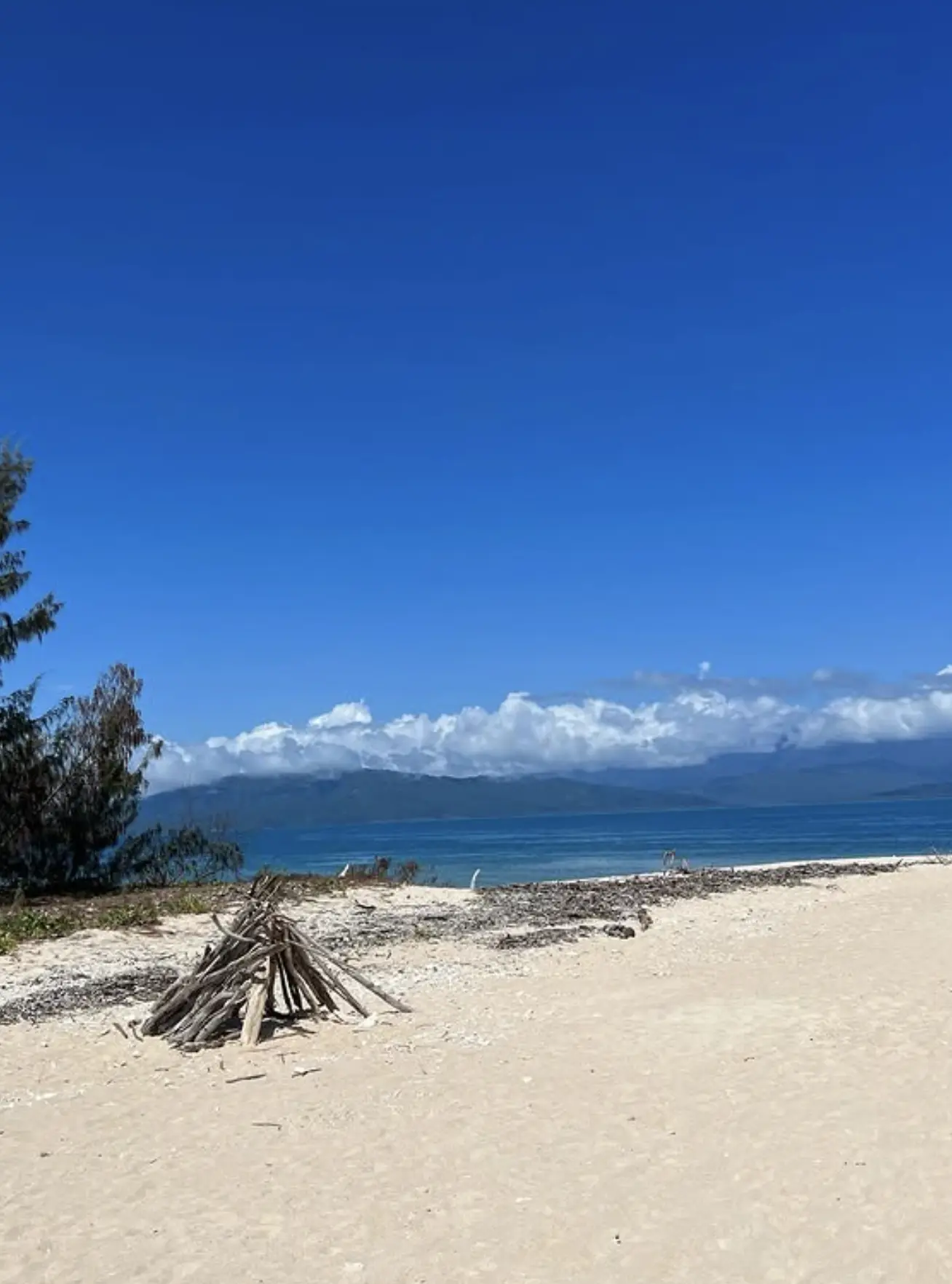 Beach picnic setup on sandy shore of Frankland Islands