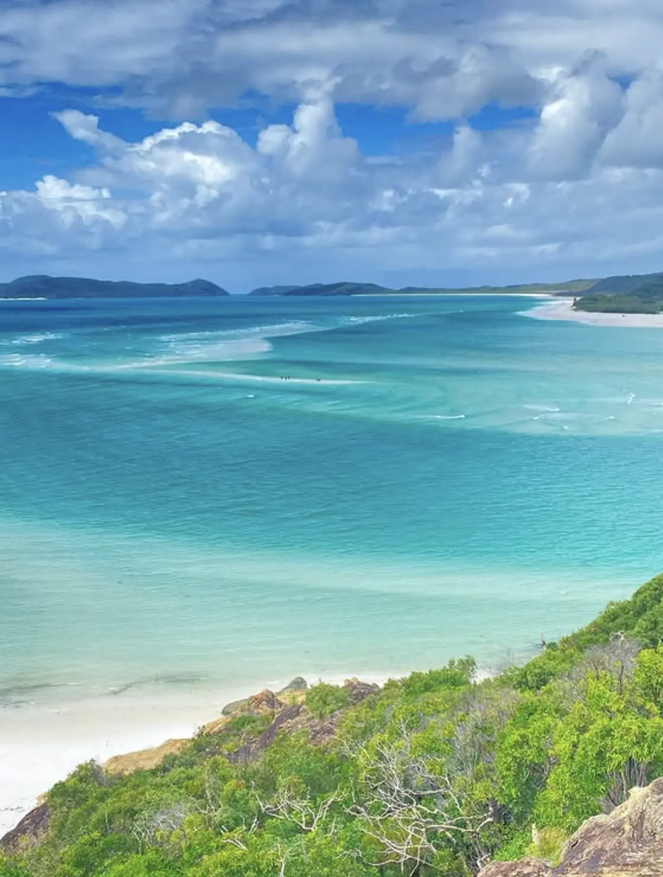 Beachfront villa in rainforest on Bedarra Island
