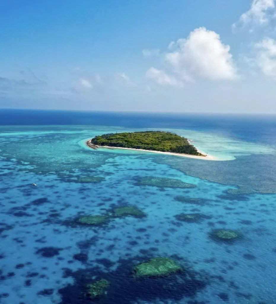 Birdwatching season with nesting seabirds on Lady Musgrave