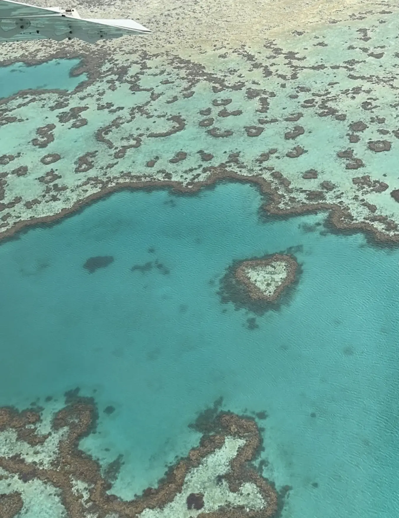 Cairns reef and rainforest experiences