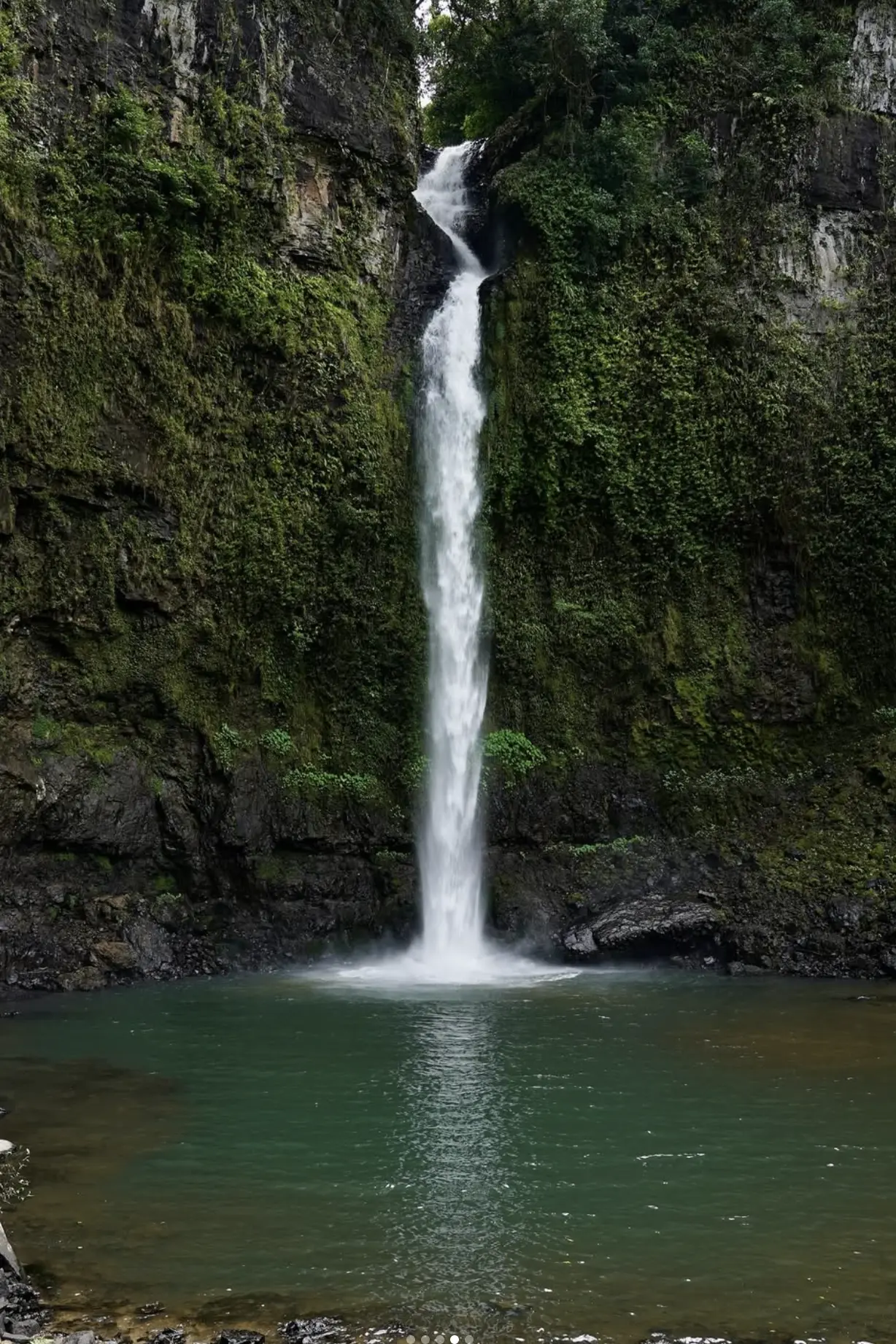 Cairns to Daintree Rainforest travel