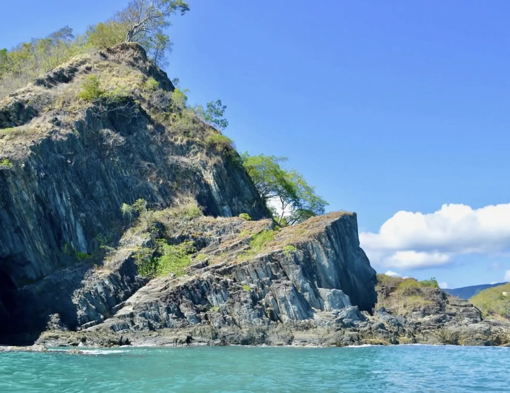 Cairns wildlife encounters and zoos