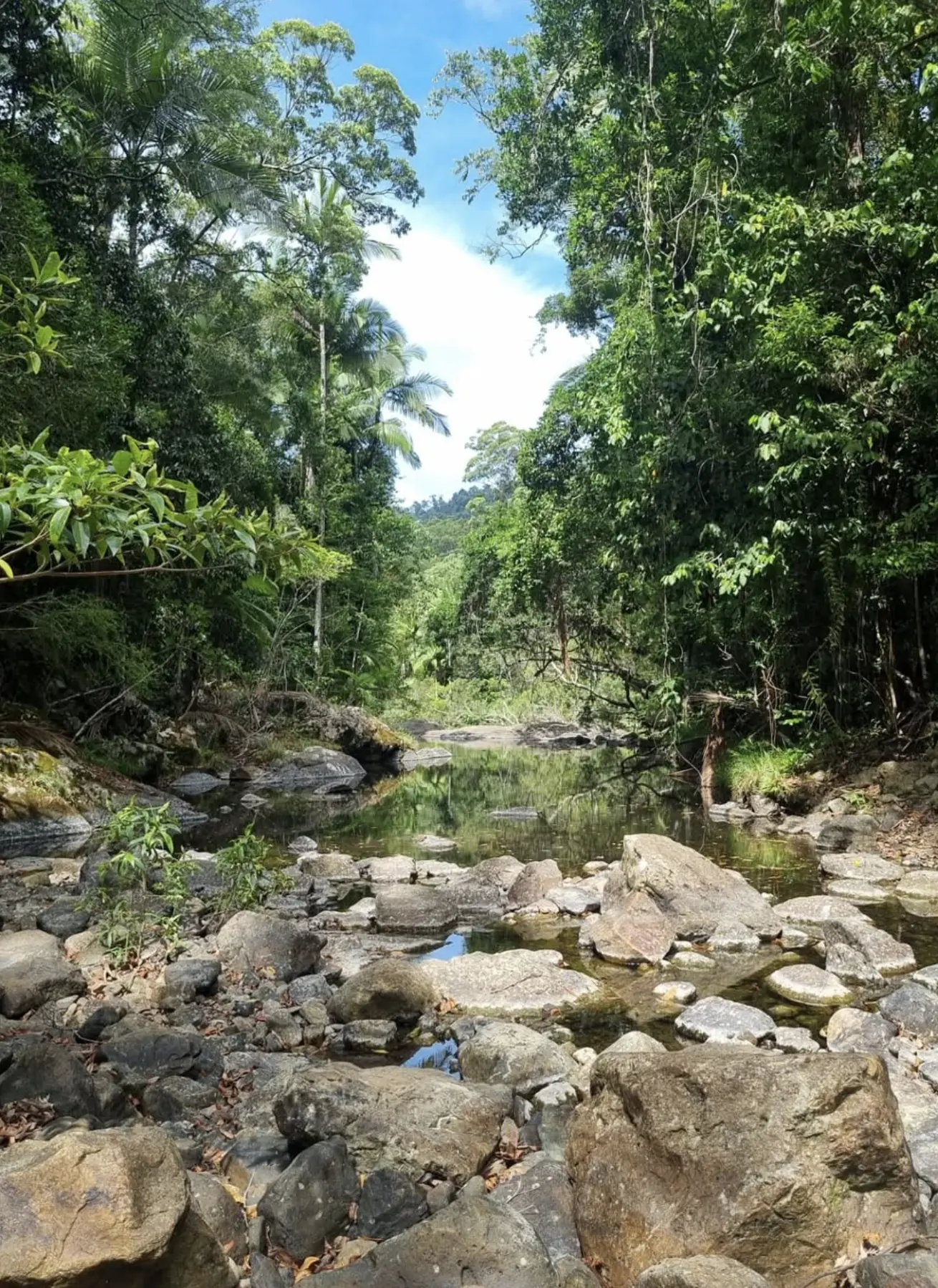 Daydream Island travel tips