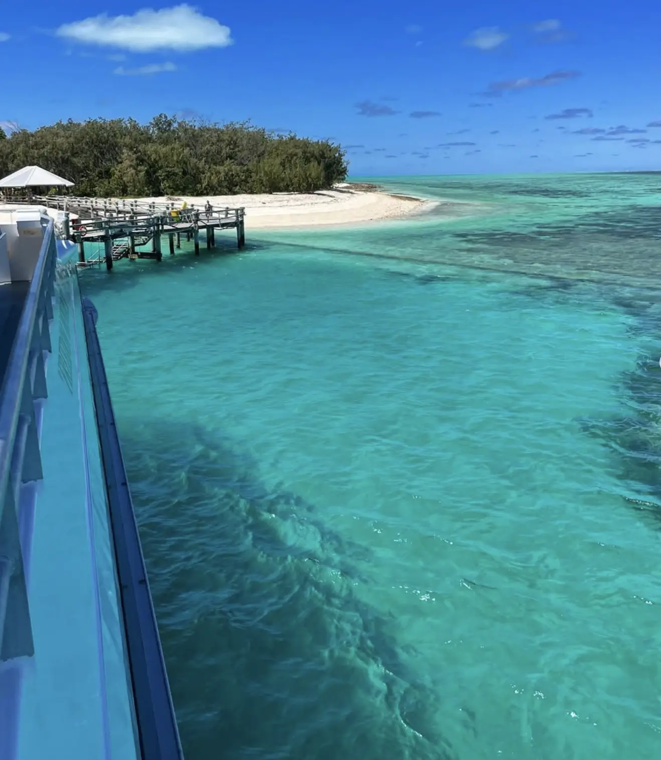 Fitzroy Island's walking tracks