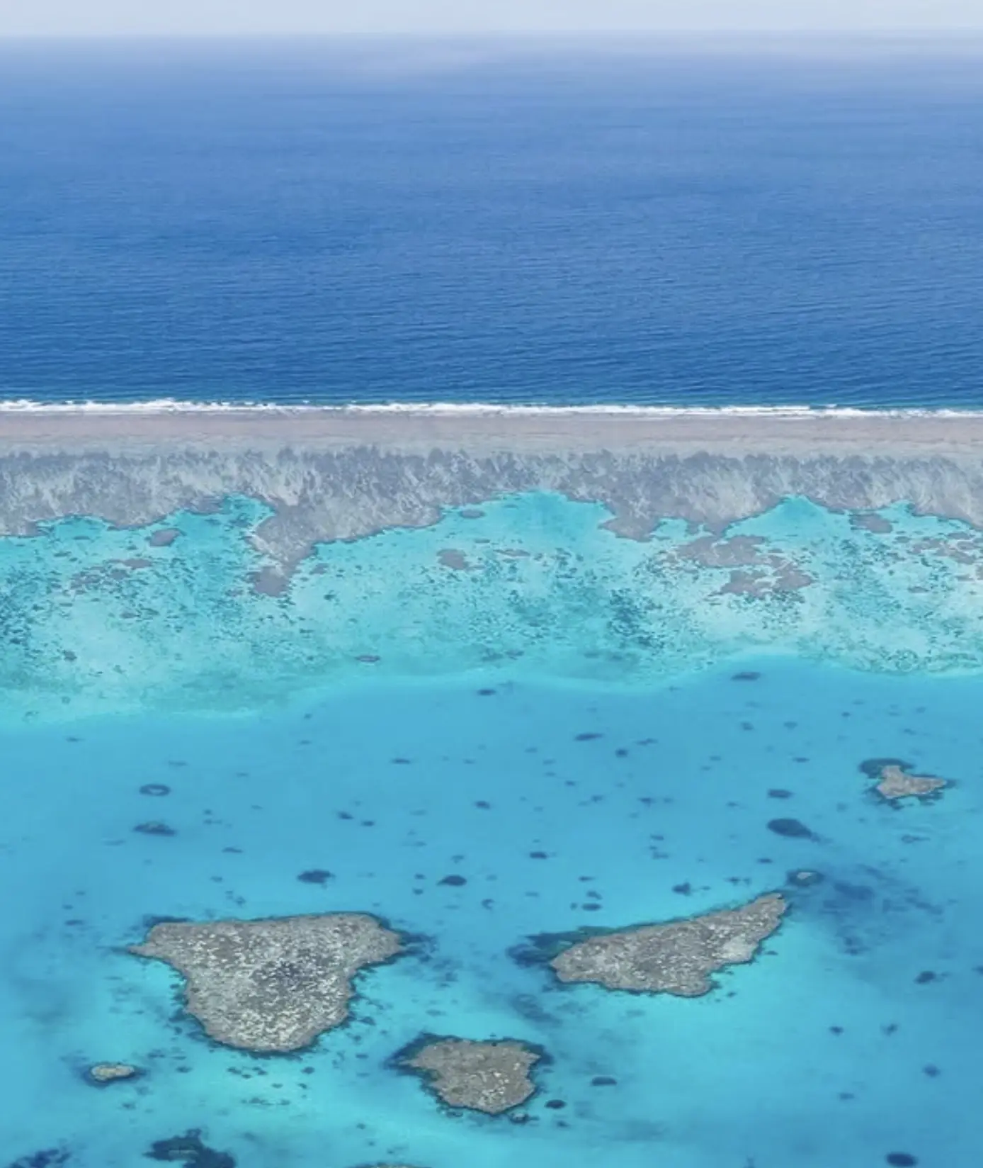 Free Things to Do Great Barrier Reef
