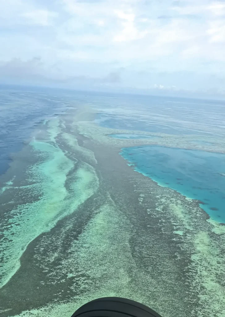 Great Barrier Reef interesting facts