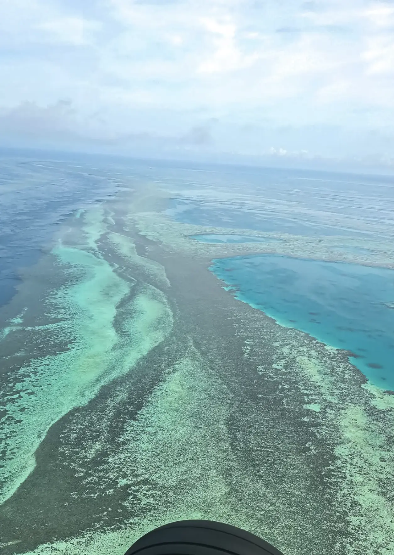 Great Barrier Reef interesting facts