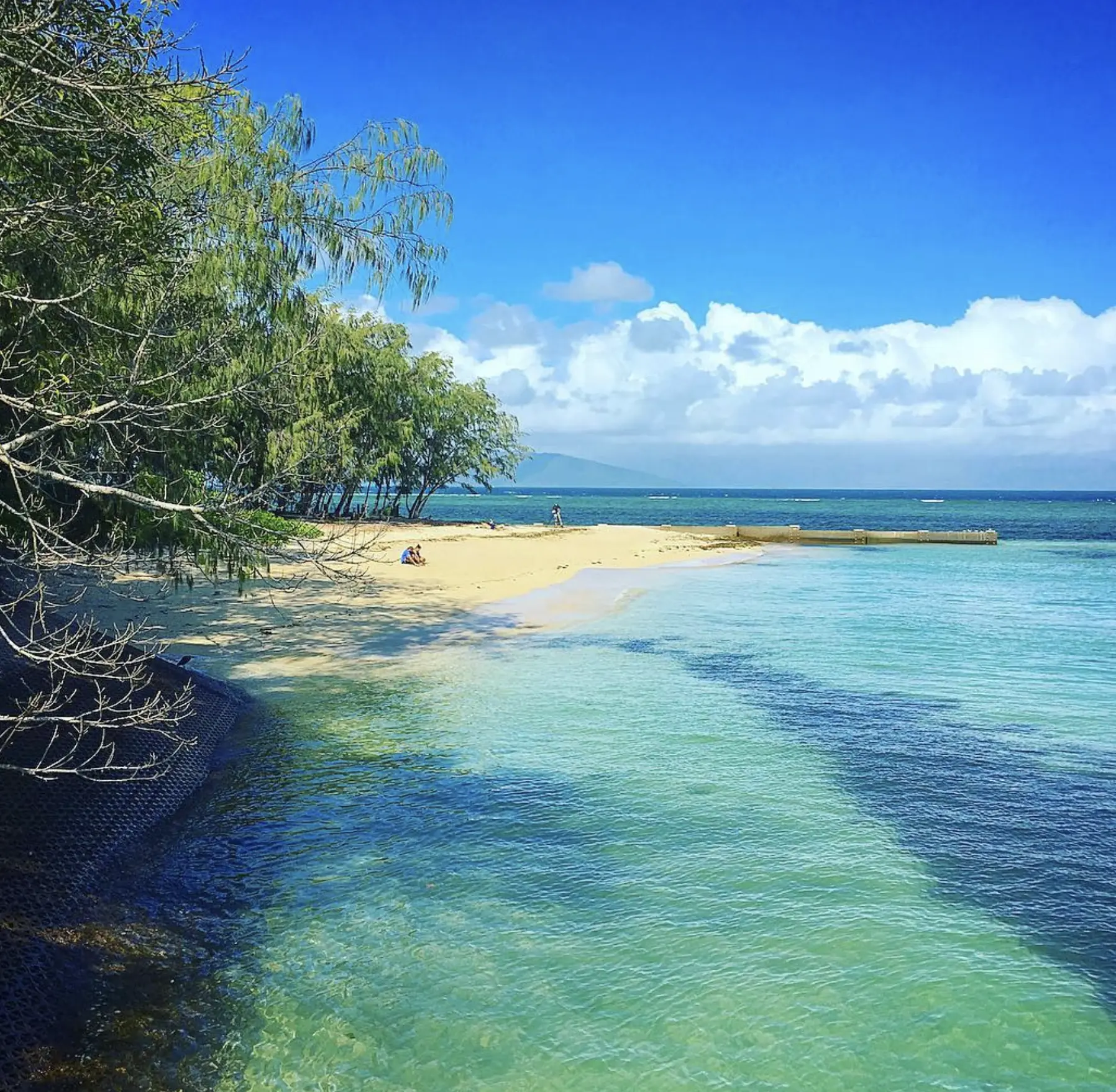Green Island Self-Guided Boardwalk