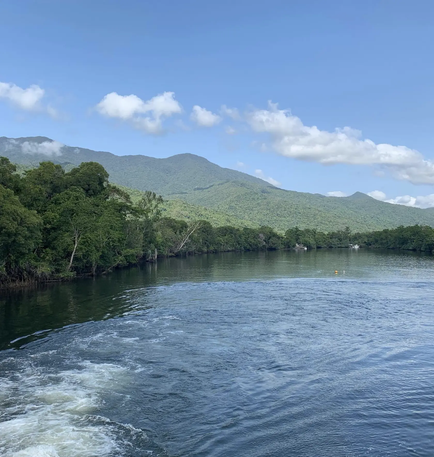 Guided rainforest walk on Frankland Islands nature trail