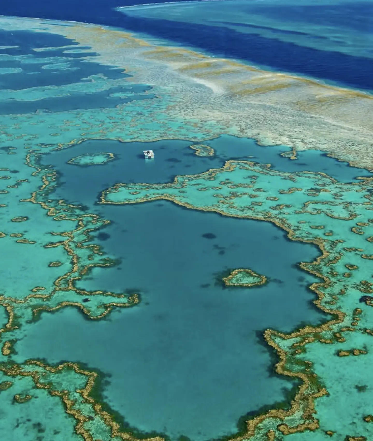 Helicopter tour above coral cay