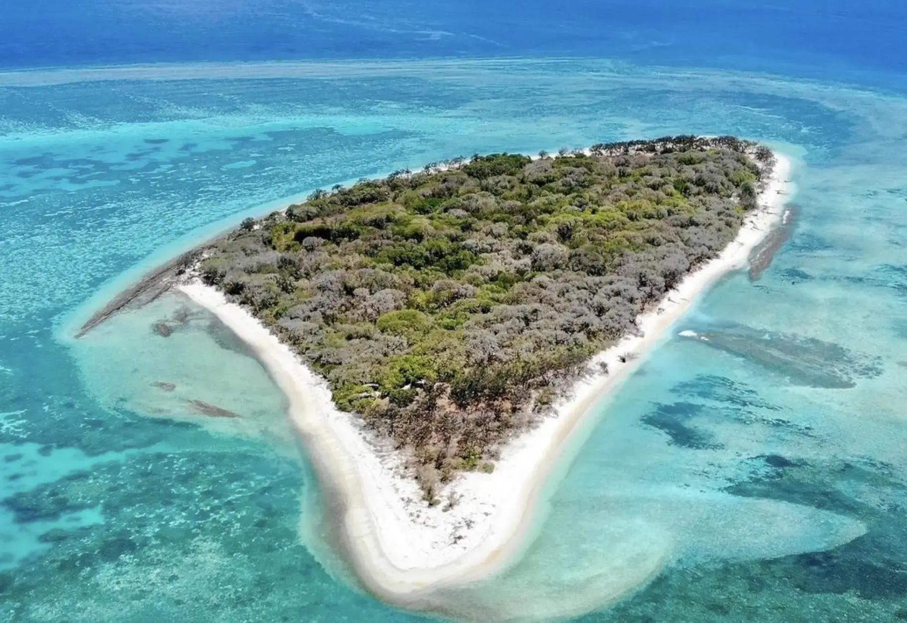 Lady Musgrave Island snorkelling