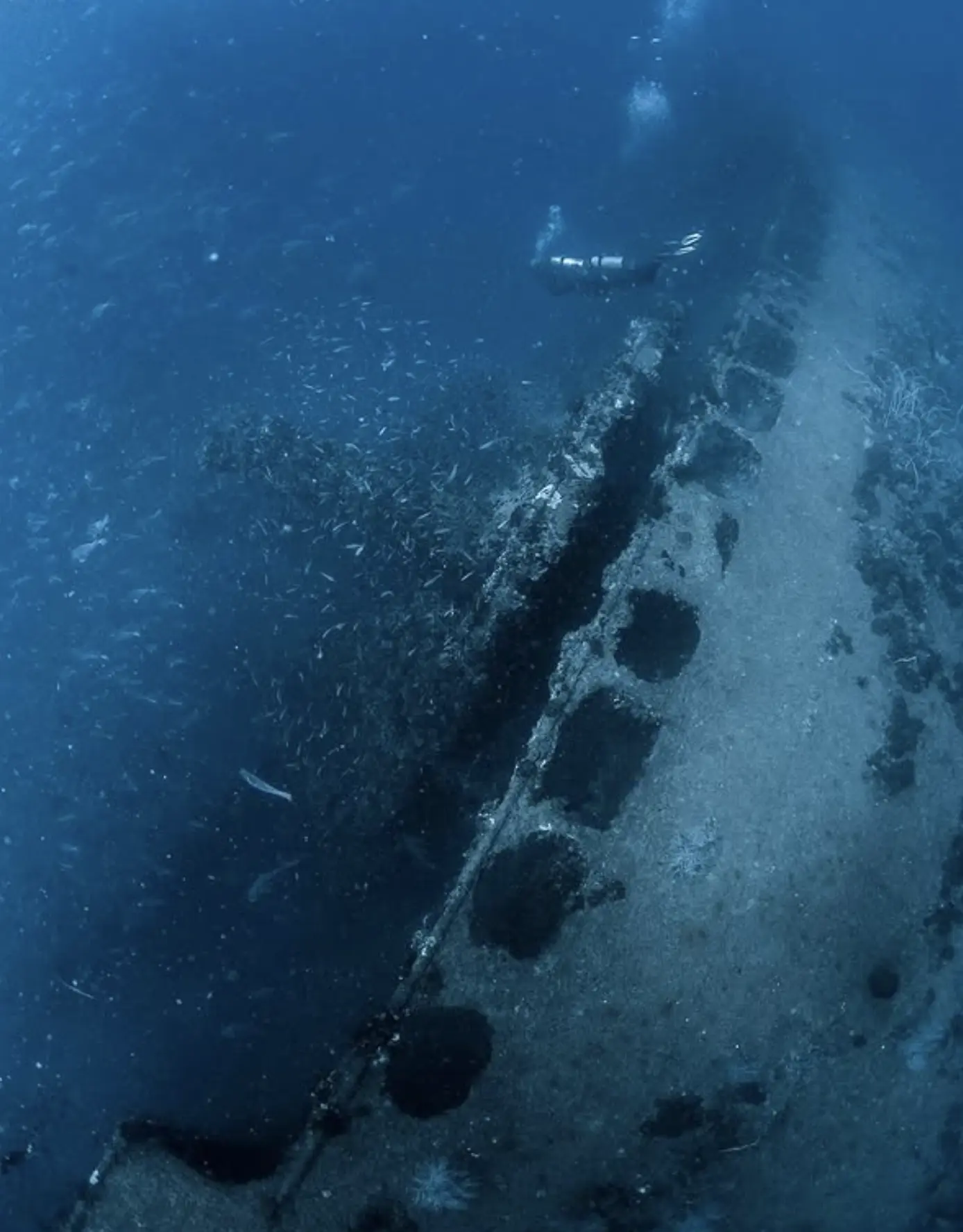 Scuba diver descending mooring line to Yongala shipwreck
