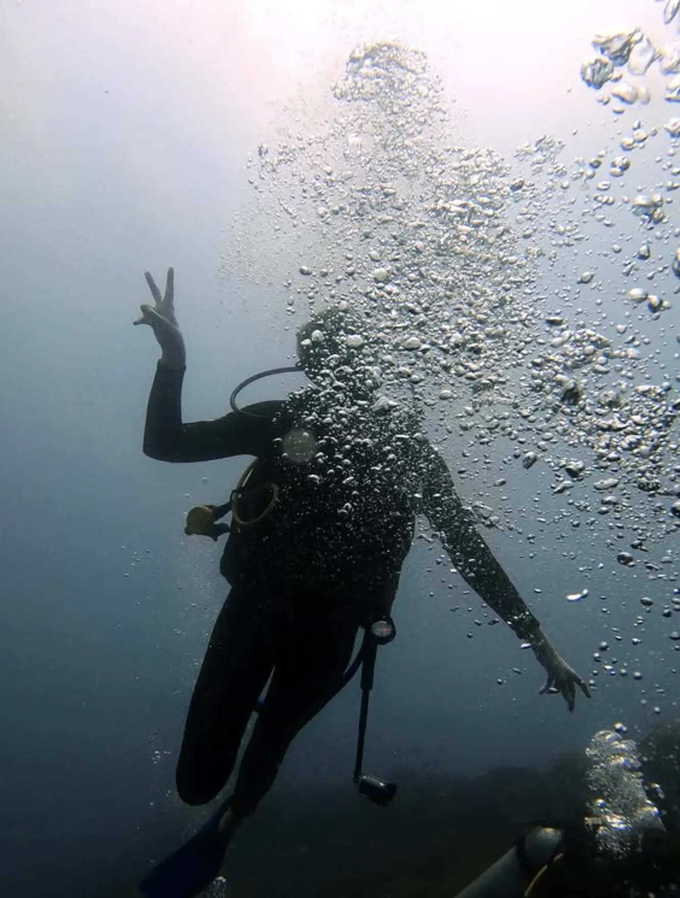Scuba diver exploring S.S. Yongala shipwreck coral-covered hull