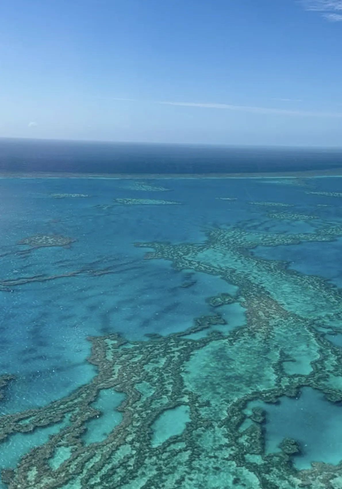Snorkelling near the shore at Geoffrey Bay