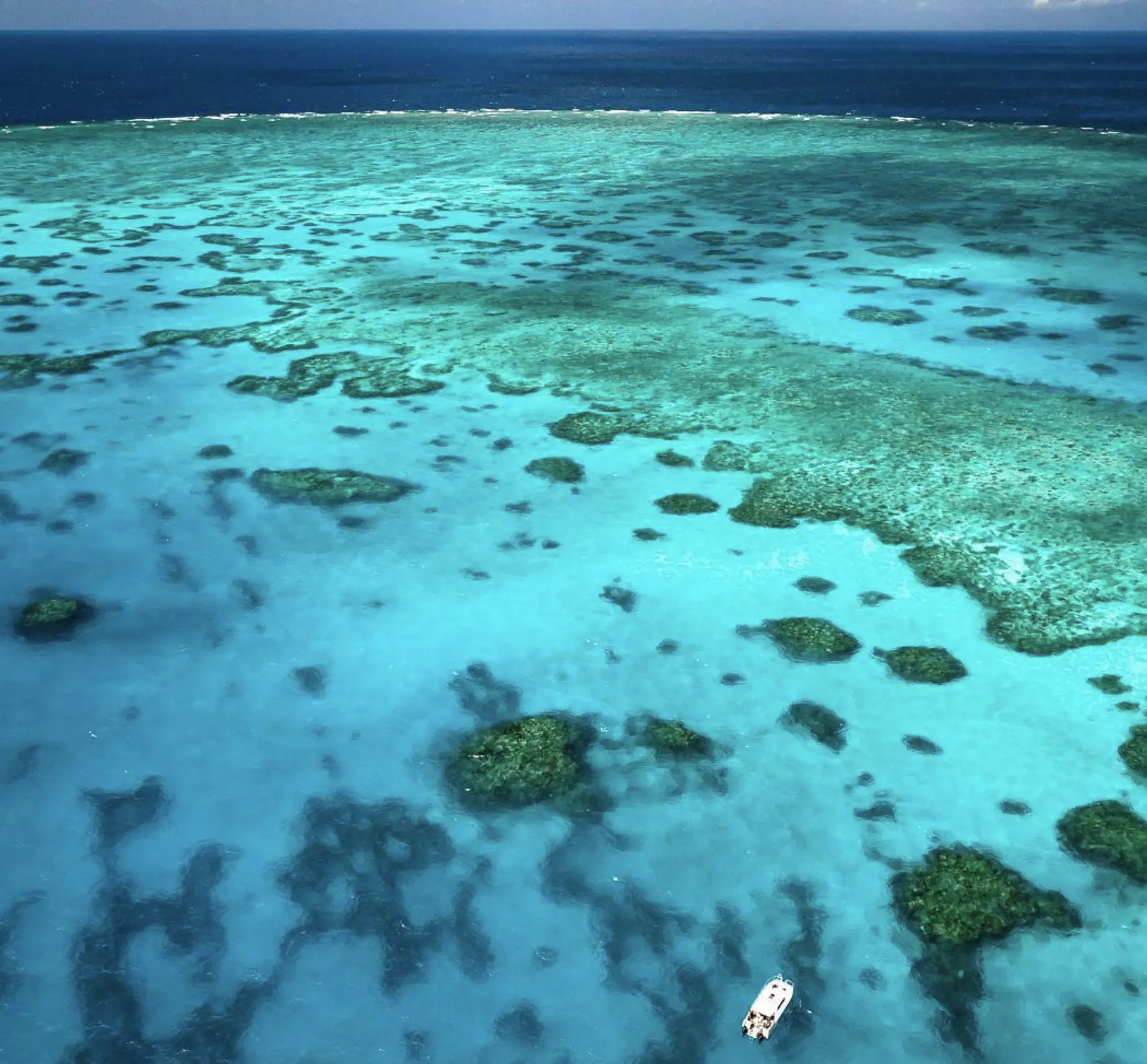 Snorkelling on Pumpkin Island