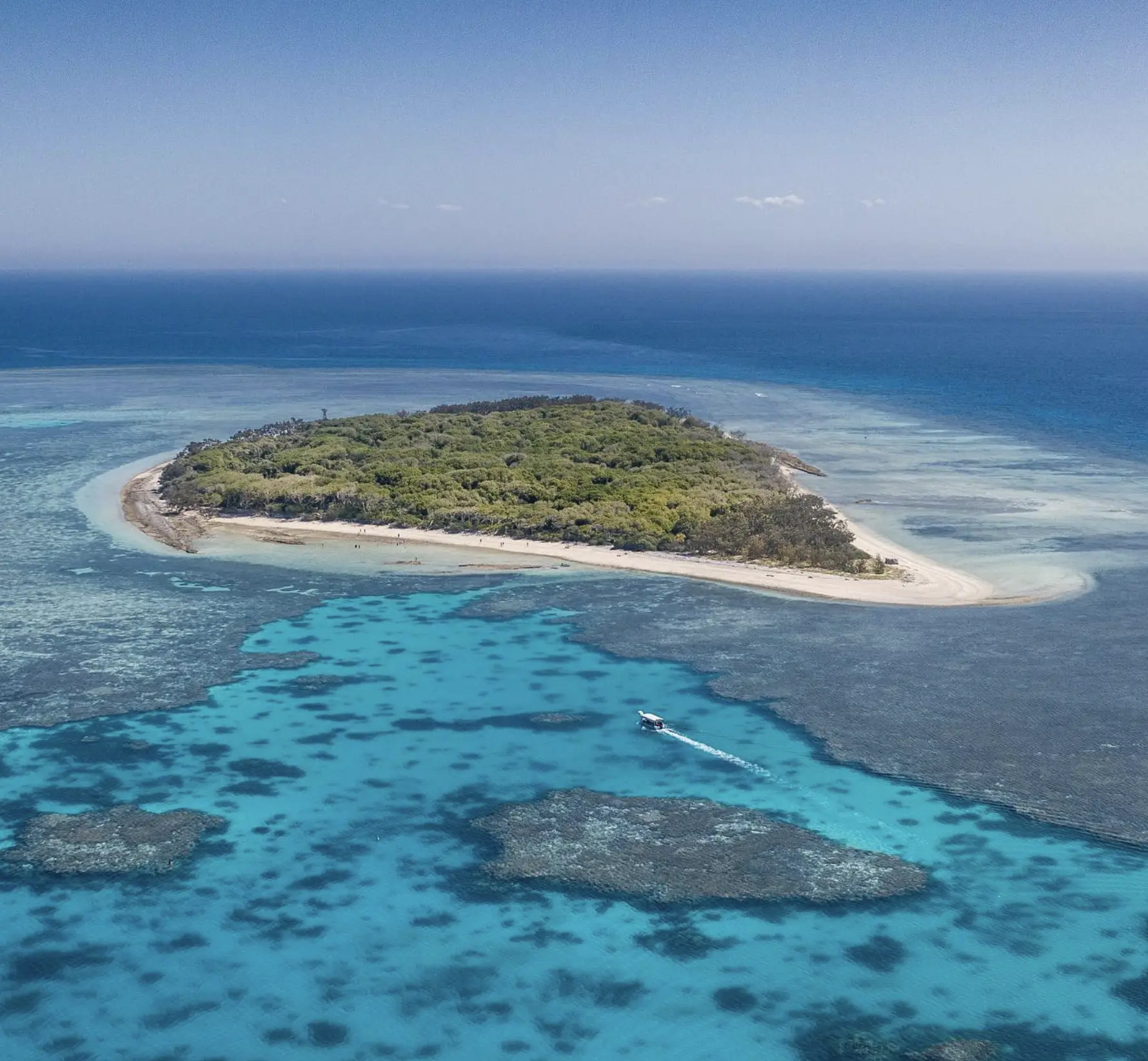 Snorkelling reef bommies at Long Island