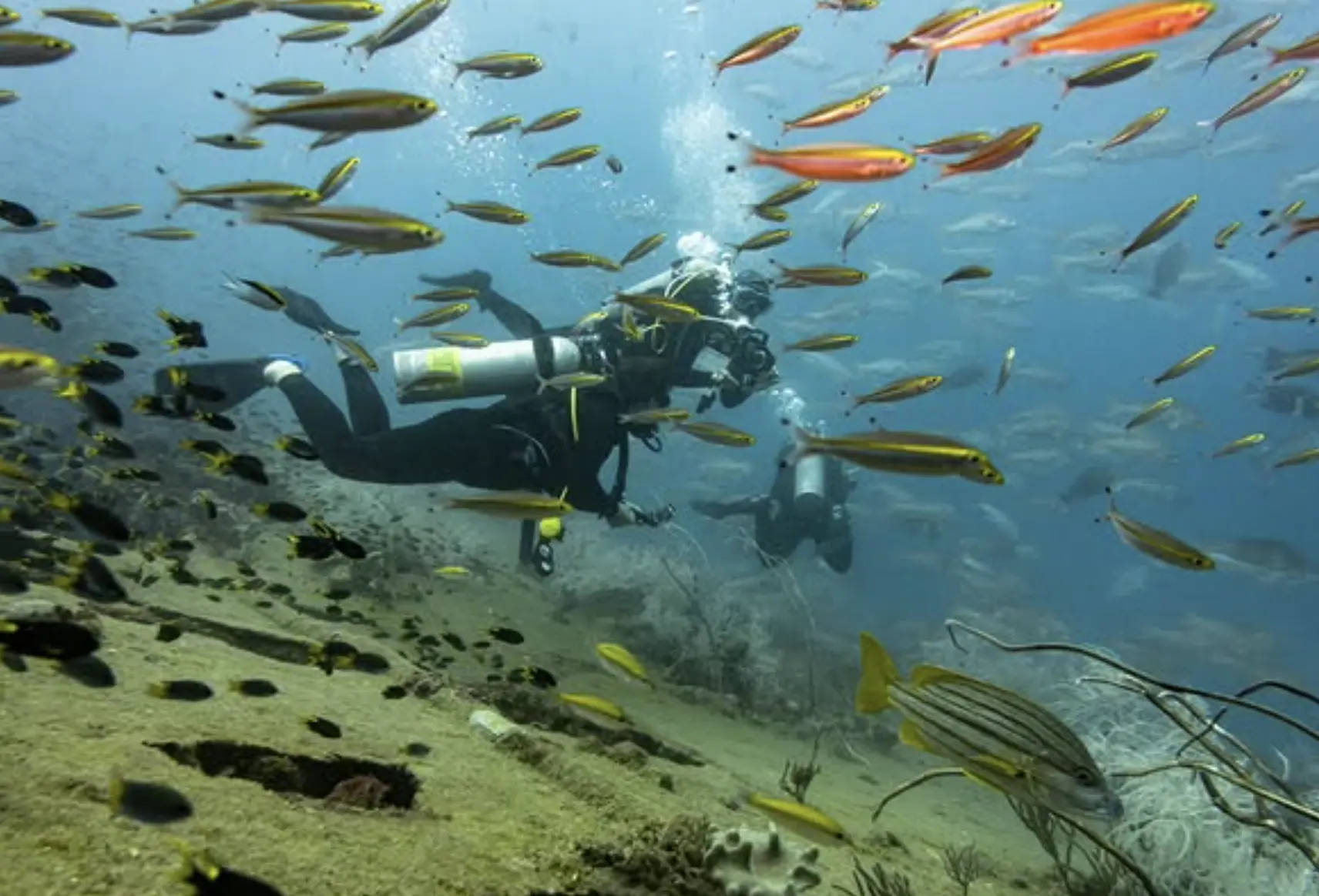 View of Yongala shipwreck structure teeming with reef fish