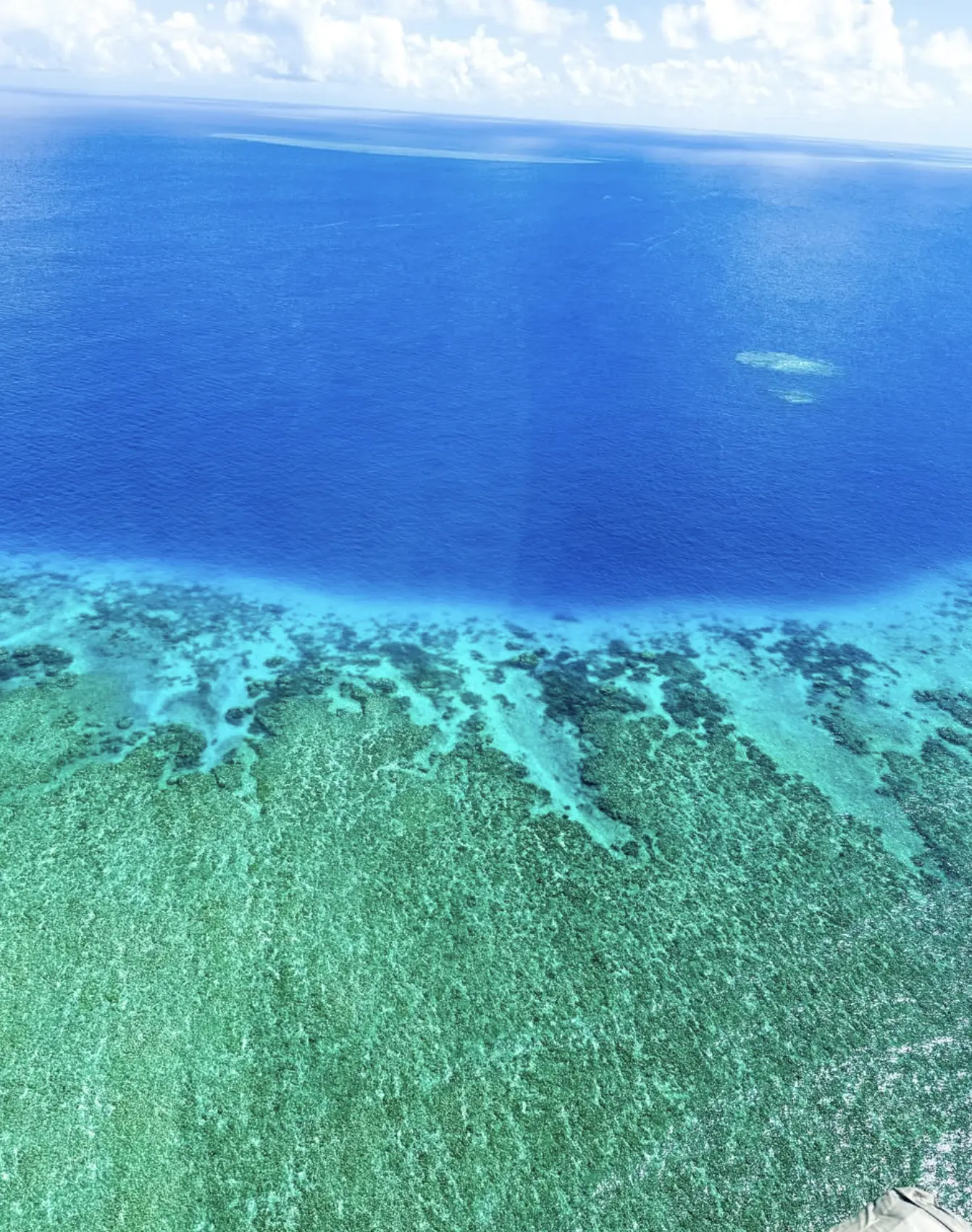 Wild North Great Barrier Reef