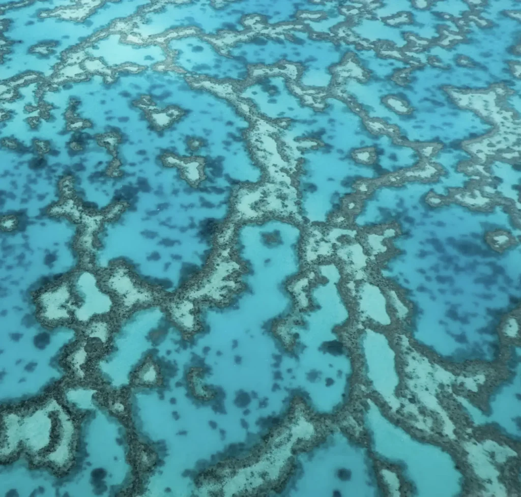 aerial photo of heron island and reef platform