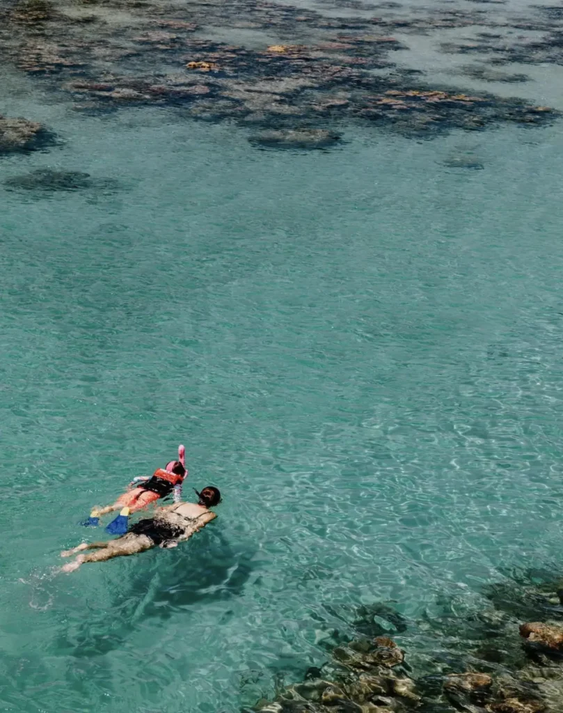 child spotting reef fish on glass-bottom boat