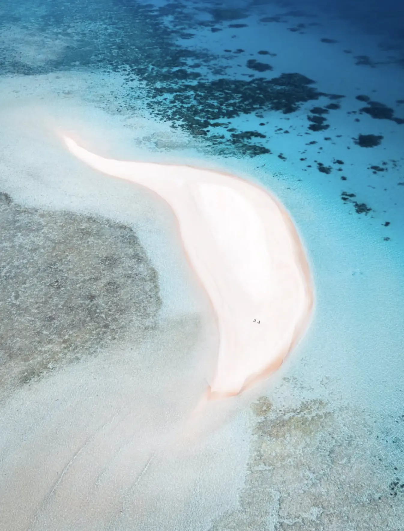 coral reef ecosystem Australia