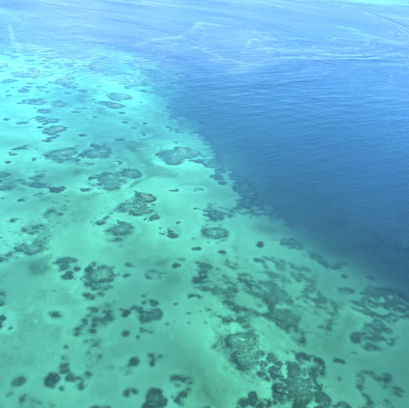 diving on Green Island