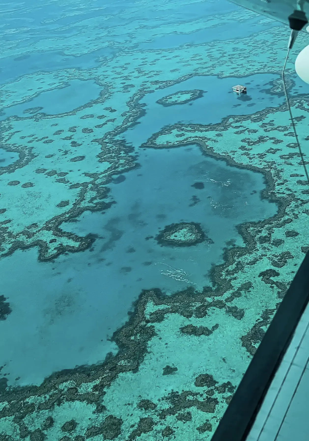 facts about the Great Barrier Reef