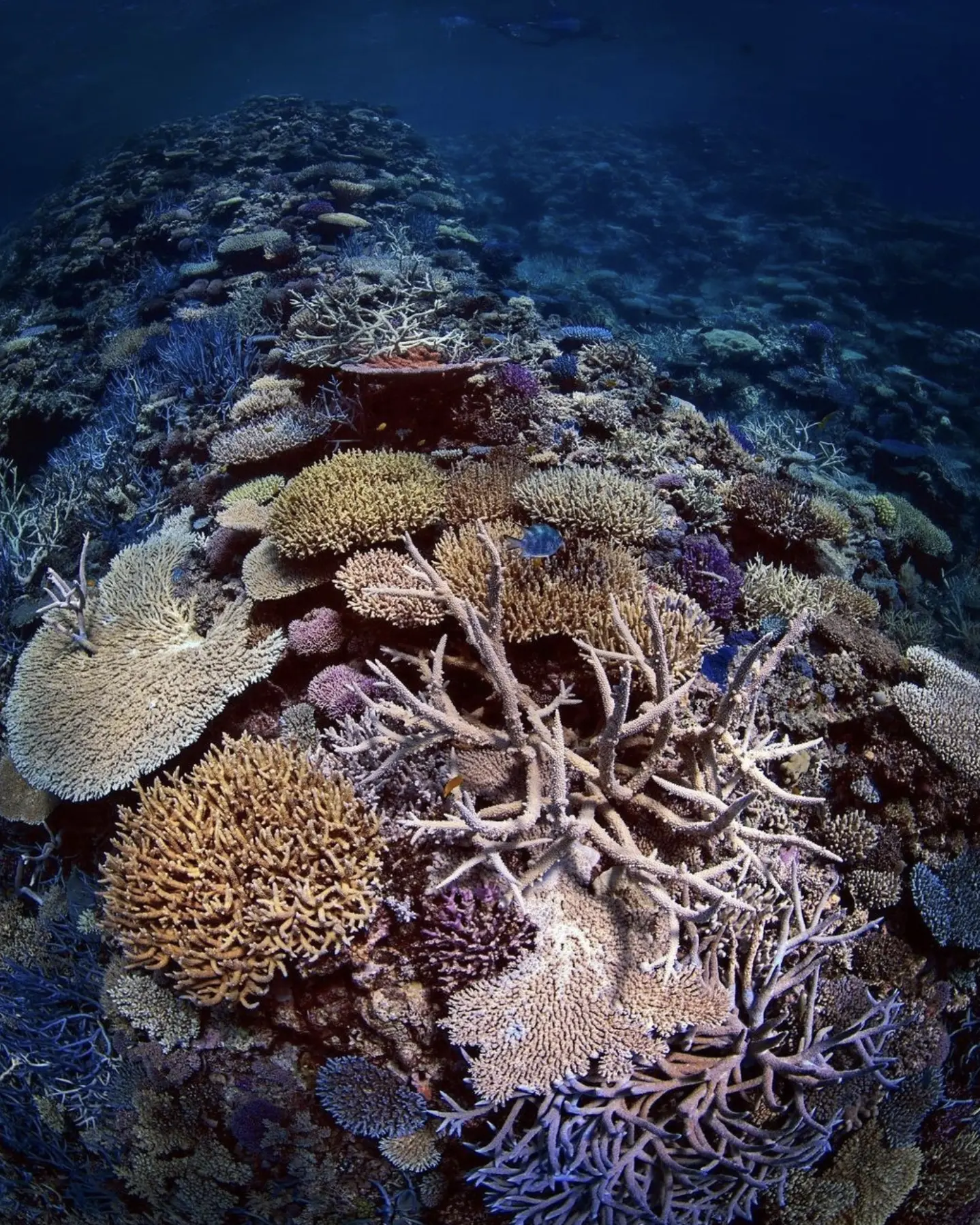 how big is the Great Barrier Reef