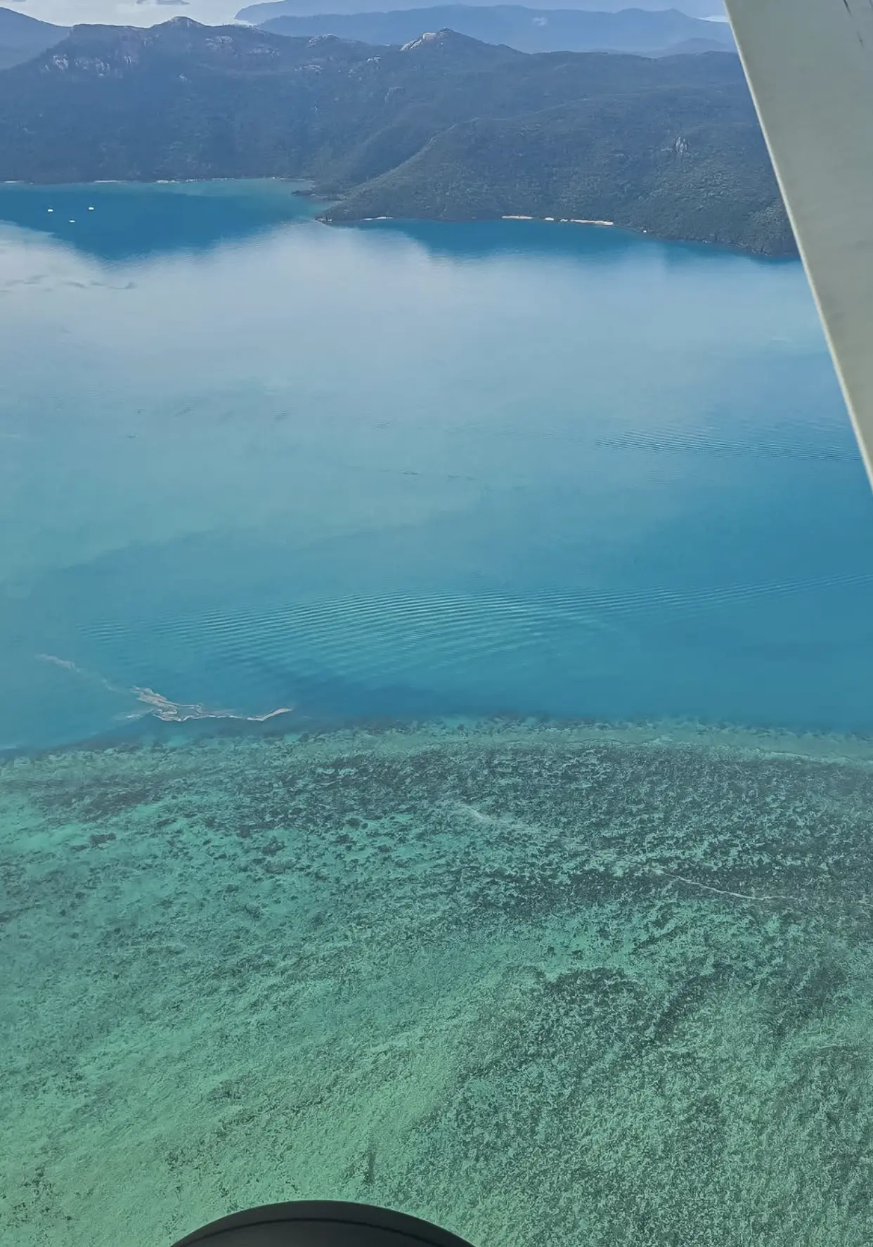 how old is the Great Barrier Reef