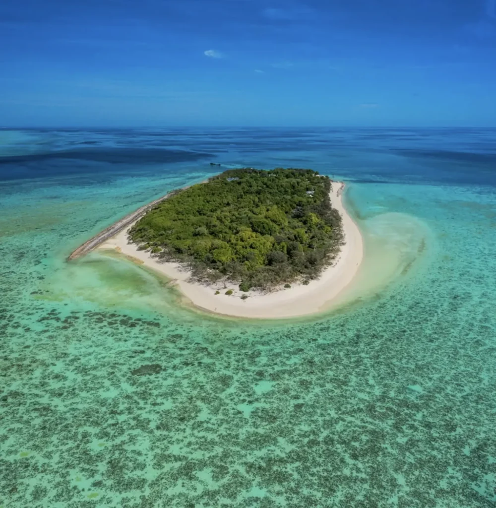kids spotting marine life on heron island beach