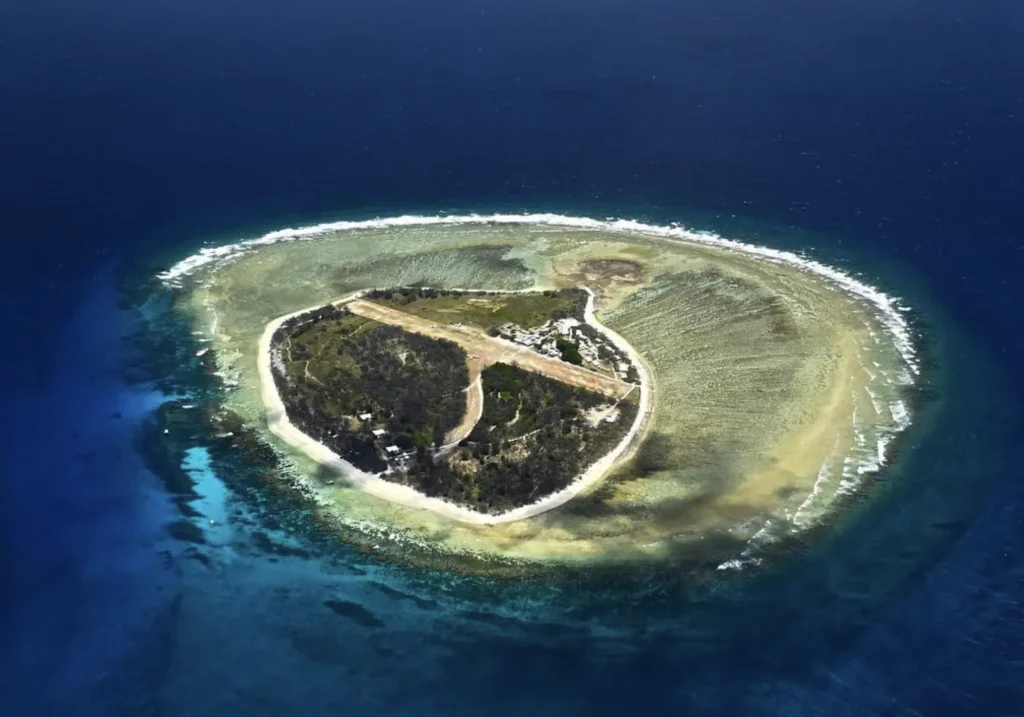 noddy terns nesting in trees on lady elliot island